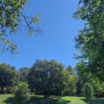 DE CANICULE EN CANICULE, URGENCE AIXOISE DE FAIRE DES PARCS ET JARDINS DES ESPACES-REFUGES (Réflexion de Magali Bailleul)